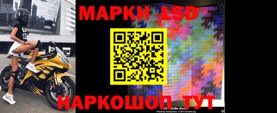 гидропоника Брянск