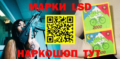 гидропоника Брянск