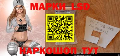 гидропоника Брянск