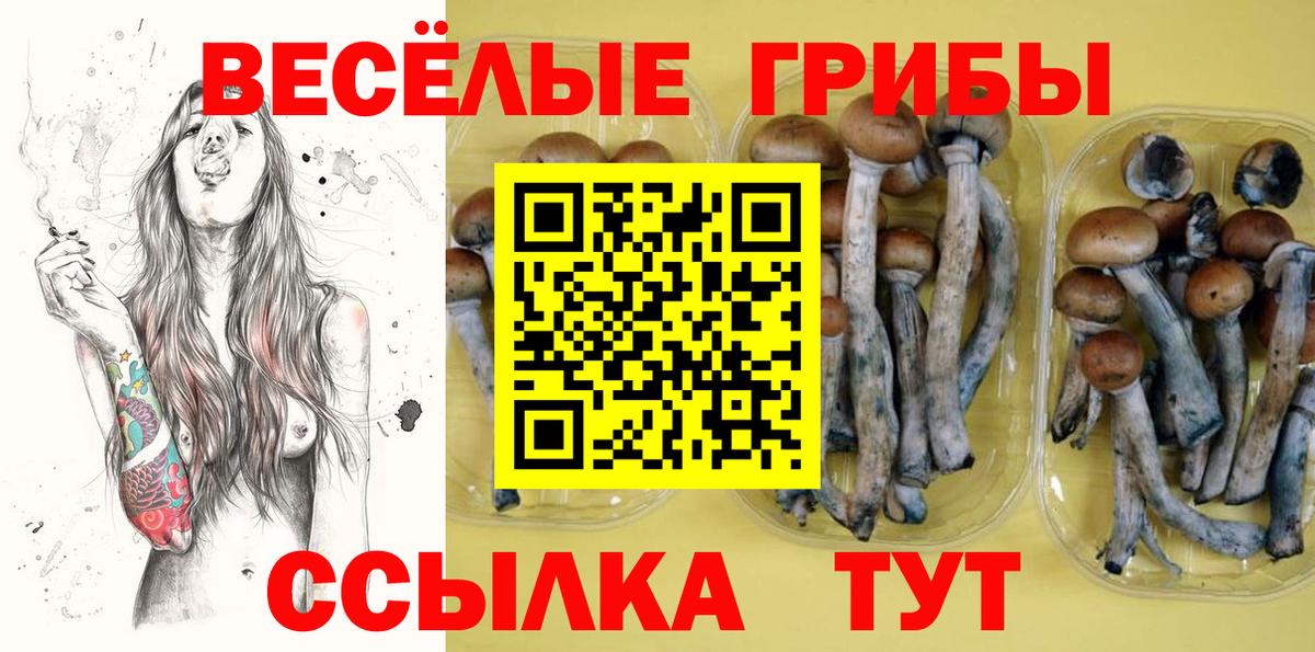 купить закладку  Псилоцибиновые грибы MAGIC MUSHROOMS  Вход с VPN  Астрахань 