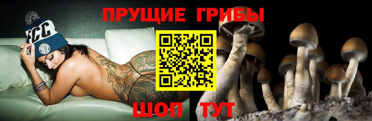 Псилоцибиновые грибы мицелий Астрахань